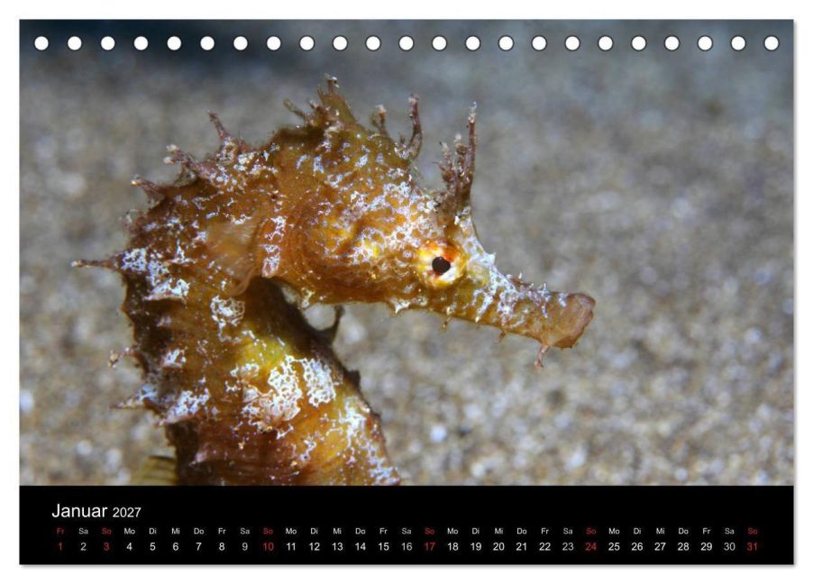 InsideView 6