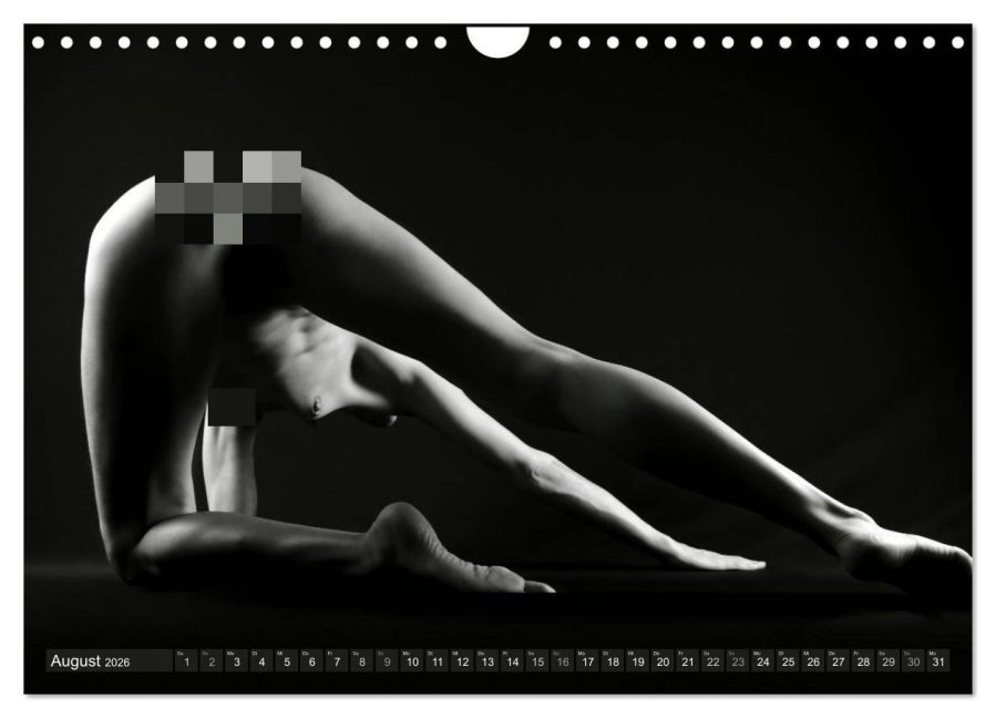 InsideView 13