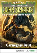 Cover-Bild zum Titel 'John Sinclair 2114' von 'Ian Rolf Hill'