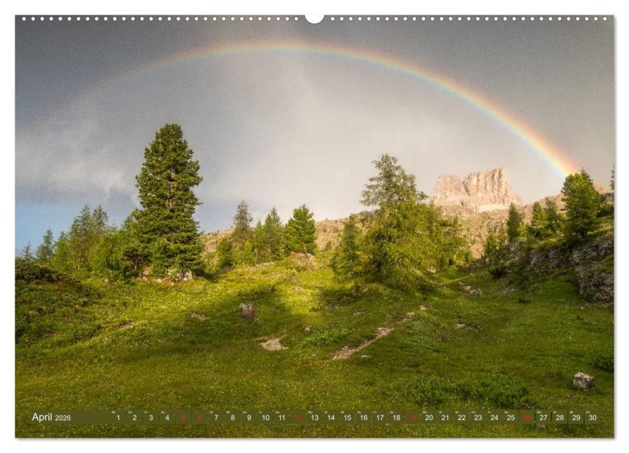 InsideView 8