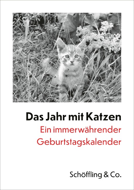 Das Jahr mit Katzen - Julia Bachstein