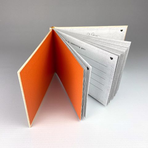 InsideView 5