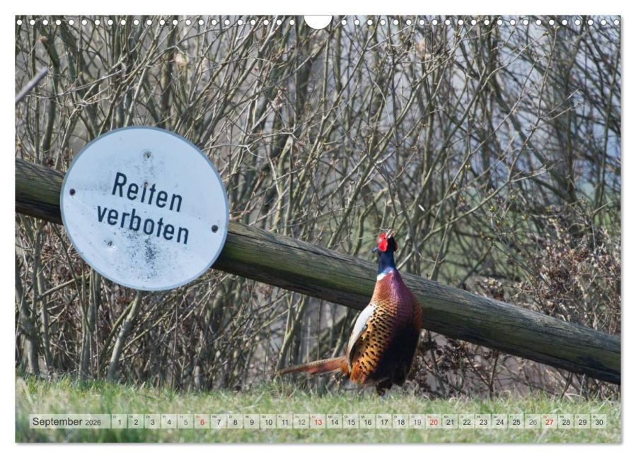 InsideView 14