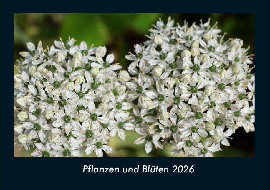 Pflanzen und Blüten 2026 Fotokalender DIN A4 - Tobias Becker