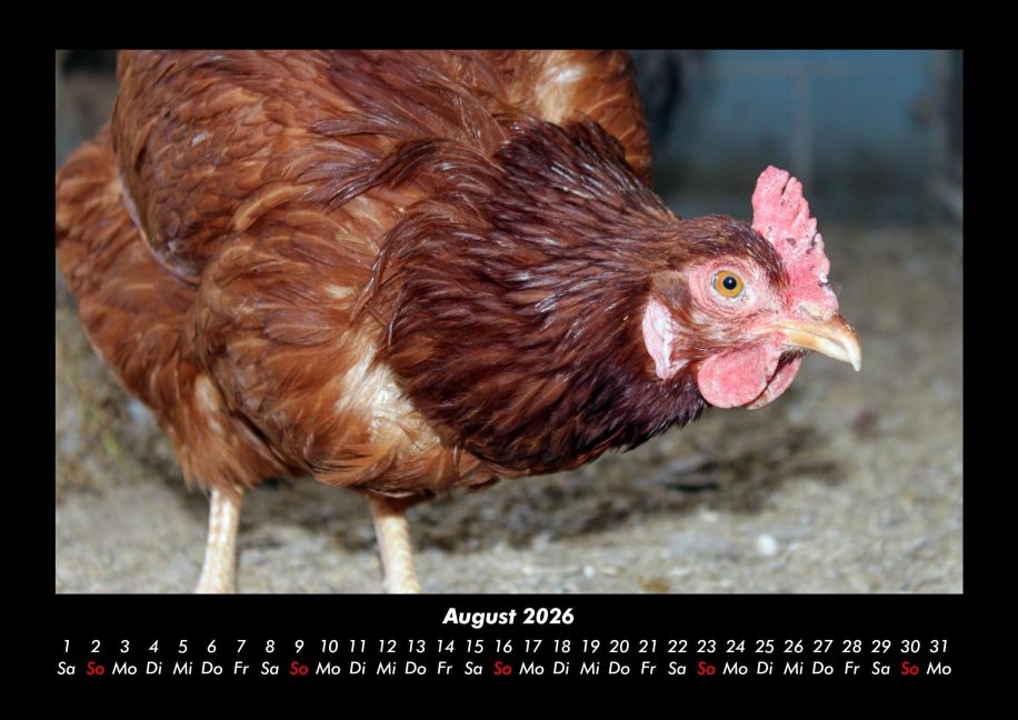 InsideView 12