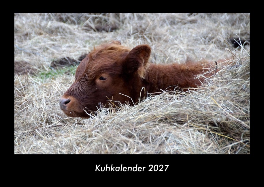 Kuhkalender 2027 Fotokalender DIN A3 - Tobias Becker