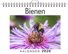 Cover-Bild zum Titel 'Bienen' von 'David Hofmann'