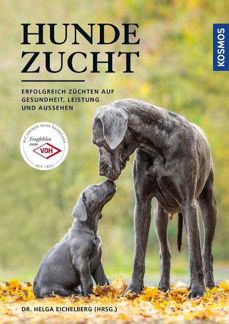 Hundezucht - 