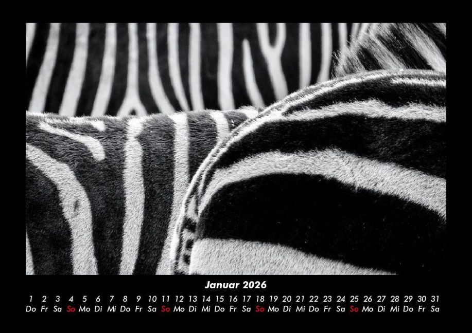 InsideView 5