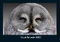Vogel Kalender 2022 Fotokalender DIN A4 - Tobias Becker