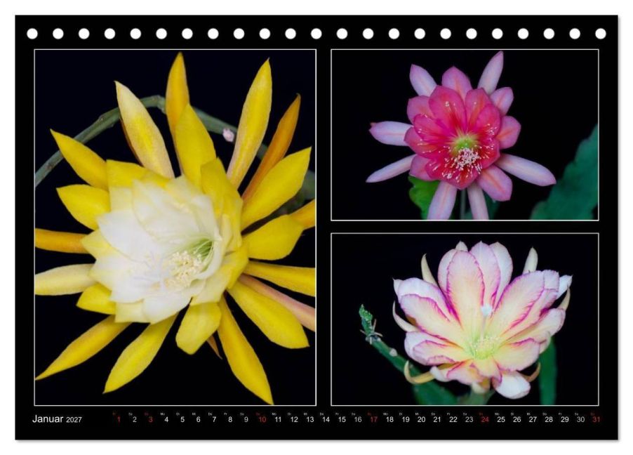 InsideView 6