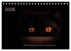 Cover-Bild zum Titel 'Schokoladige Britisch Kurzhaar Katzen (Tischkalender 2026 DIN A5 quer), CALVENDO Monatskalender' von 'Janina Bürger'