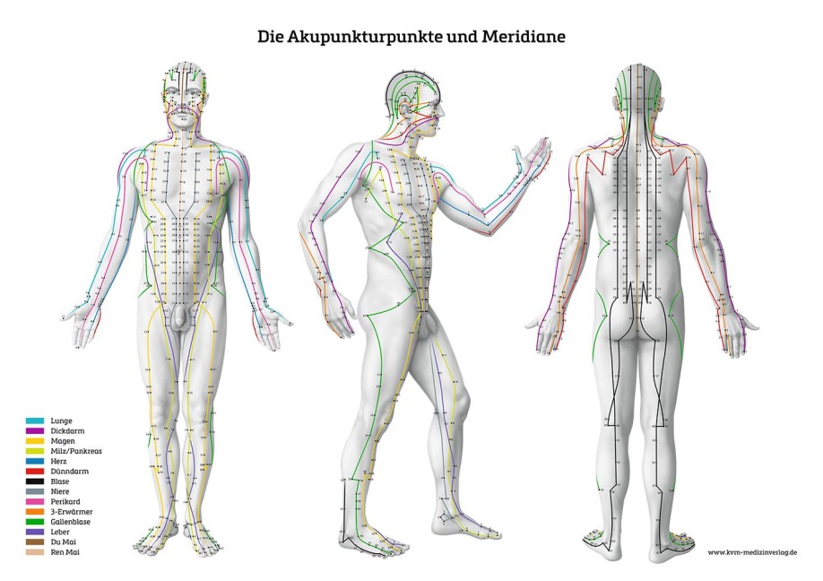 Lernposter - Die Akupunkturpunkte und Meridiane - 