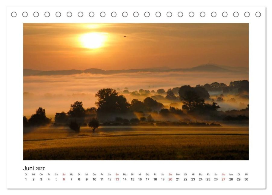 InsideView 11