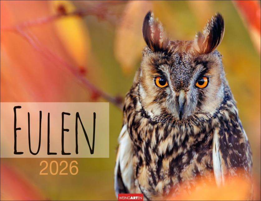 Eulen Kalender 2026 - 