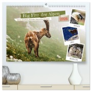 Big Five der Alpen Gämse, Steinbock, Murmeltier, Steinadler, Bartgeier (hochwertiger Premium Wandkalender 2026 DIN A2 quer), Kunstdruck in Hochglanz - Susan Michel