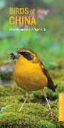 Cover-Bild zum Titel 'Birds of China' von 'John Mackinnon, Nigel Hicks'