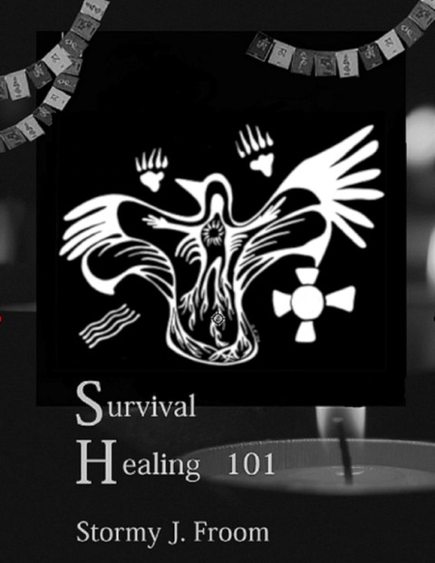 Survival Healing 101 - Stormy Froom