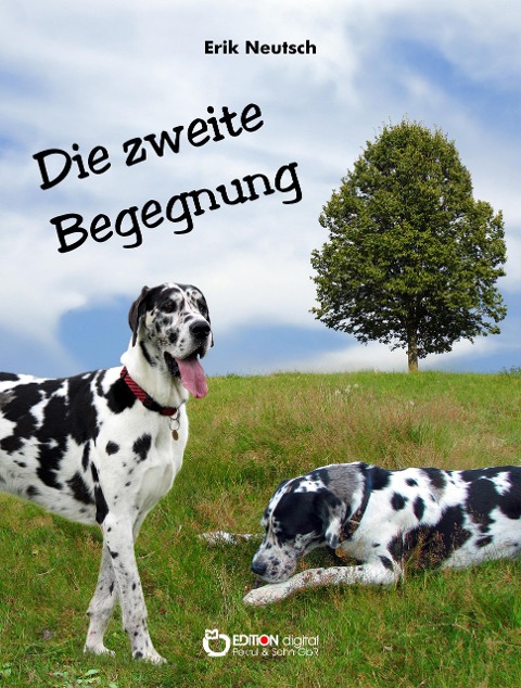 Die zweite Begegnung - Erik Neutsch