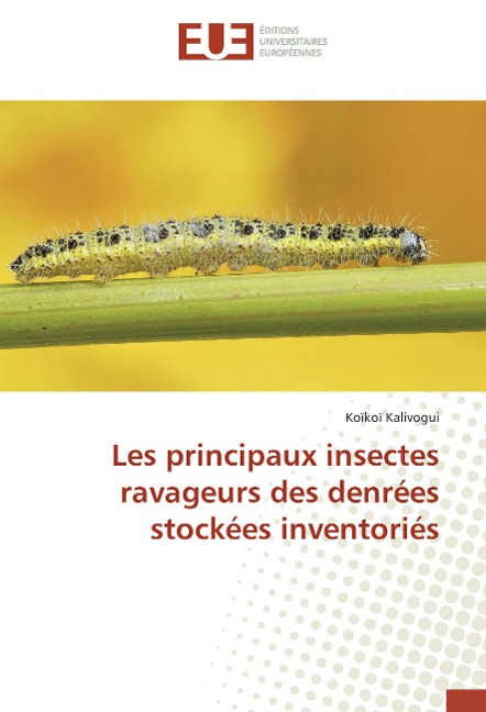 Les principaux insectes ravageurs des denrées stockées inventoriés - Koïkoï Kalivogui