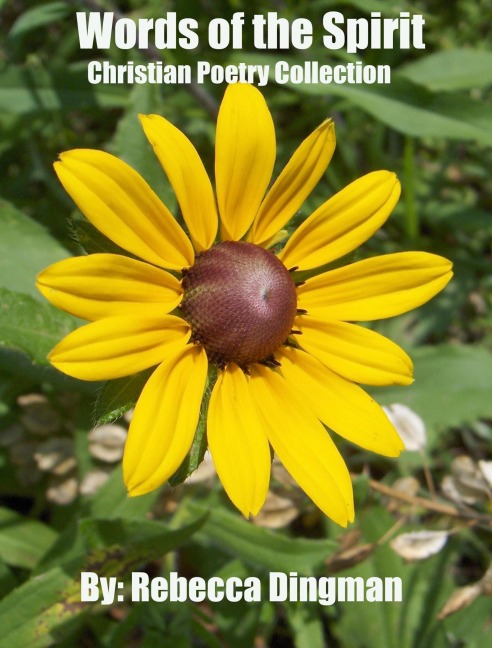 Words of the Spirit - Rebecca Dingman