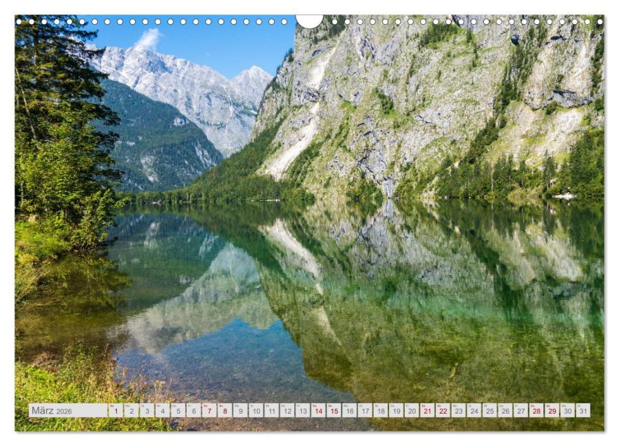 InsideView 8