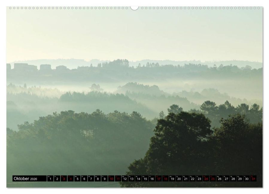 InsideView 1