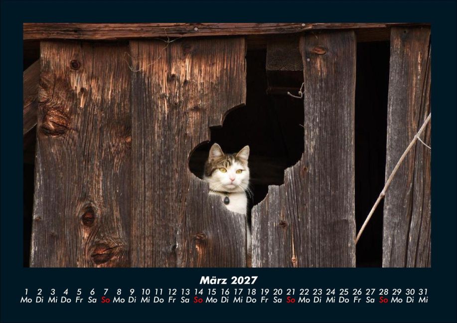 InsideView 7