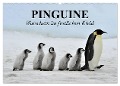 Pinguine - Watscheln im festlichen Kleid (Wandkalender 2025 DIN A2 quer), CALVENDO Monatskalender - Elisabeth Stanzer