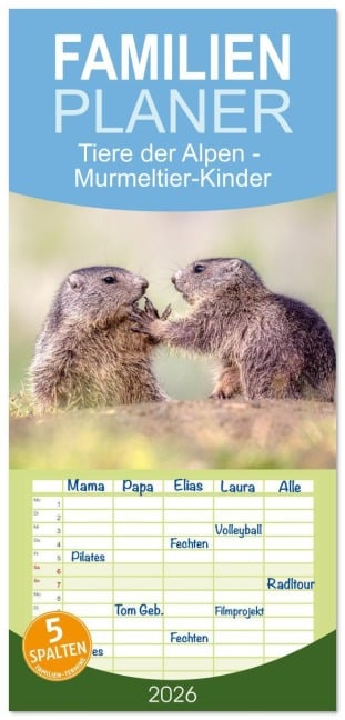Familienplaner 2026 - Tiere der Alpen - Murmeltier-Kinder mit 5 Spalten (Wandkalender, 21 x 45 cm) CALVENDO - Judith Kuhn