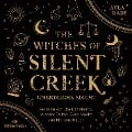 Cover-Bild zum Titel 'The Witches of Silent Creek 1: Unendliche Macht' von 'Ayla Dade'