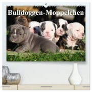 Cover-Bild zum Titel 'Bulldoggen-Moppelchen (hochwertiger Premium Wandkalender 2026 DIN A2 quer), Kunstdruck in Hochglanz' von 'Elisabeth Stanzer'