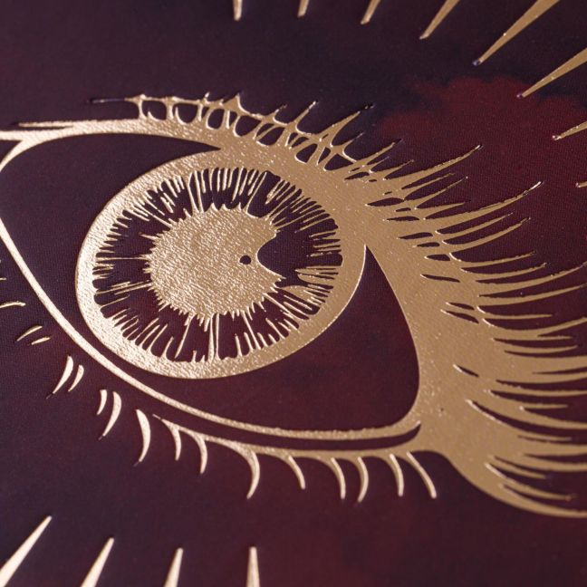 InsideView 5
