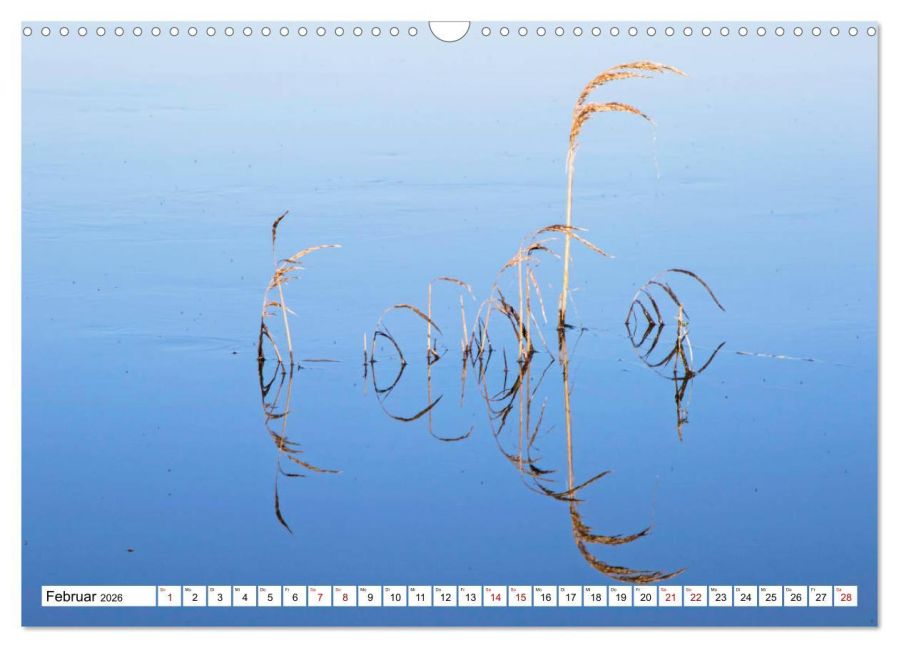 InsideView 7