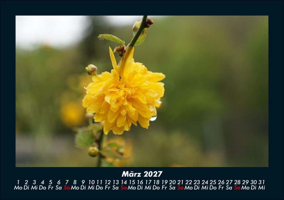 InsideView 7
