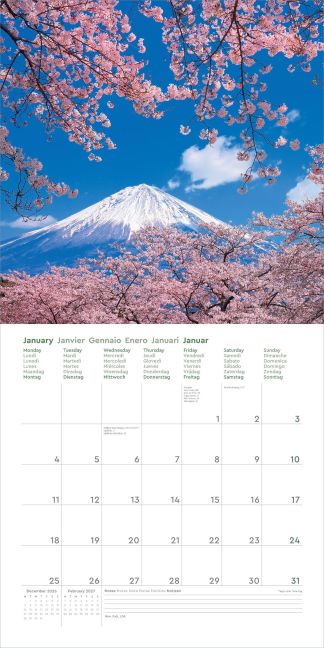 InsideView 14