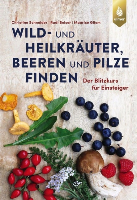 Wild- und Heilkräuter, Beeren und Pilze finden - Christine Schneider, Maurice Gliem, Rudi Beiser