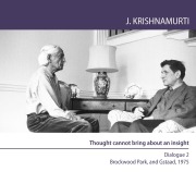Thought cannot bring about an insight - Jiddu Krishnamurti