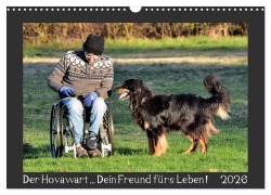 Cover-Bild zum Titel 'Der Hovawart... Dein Freund fürs Leben ! (Wandkalender 2026 DIN A3 quer), CALVENDO Monatskalender' von 'Jens Siebert'