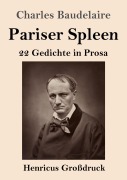 Cover-Bild zum Titel 'Pariser Spleen (Großdruck)' von 'Charles Baudelaire'
