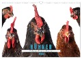 Die lustigen Hühner aus Mosenhof (Wandkalender 2024 DIN A3 quer), CALVENDO Monatskalender - Judith Kiener (DoraZett)