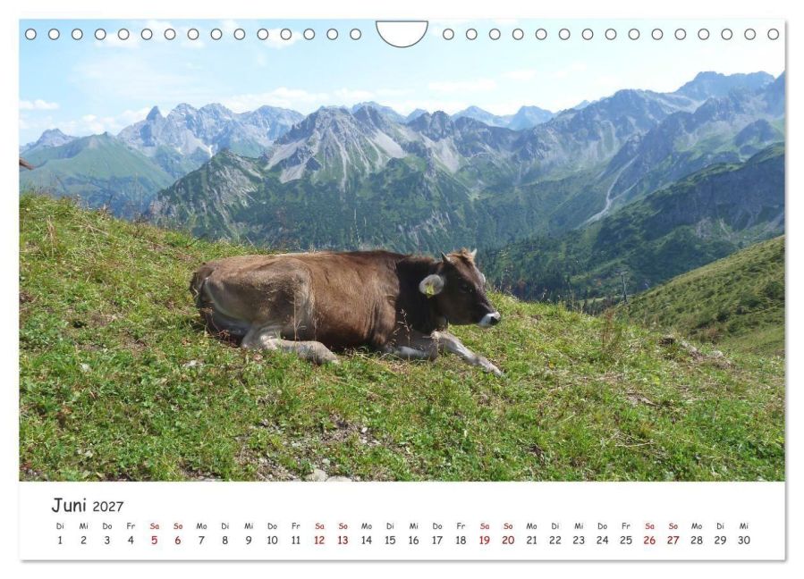 InsideView 11