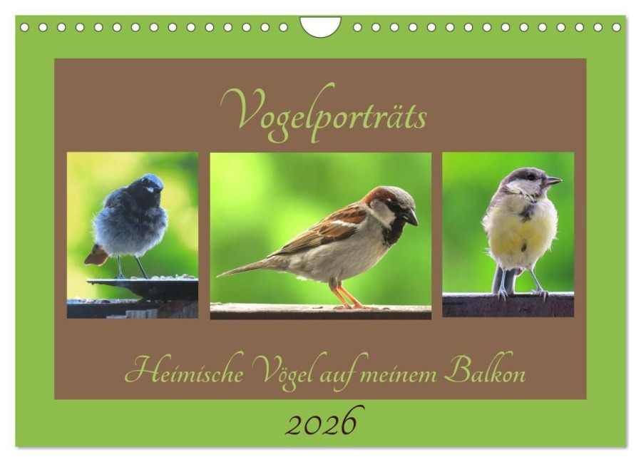 Vogelporträts - Heimische Vögel auf meinem Balkon (Wandkalender 2026 DIN A4 quer), CALVENDO Monatskalender - Claudia Schimmack