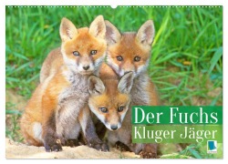Der Fuchs: Kluger Jäger (Wandkalender 2026 DIN A2 quer), CALVENDO Monatskalender - Calvendo Calvendo