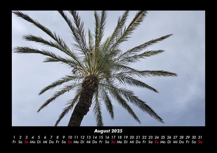 InsideView 12