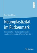 Cover-Bild zum Titel 'Neuroplastizität im Rückenmark' von 'Uwe Hans Wiese'