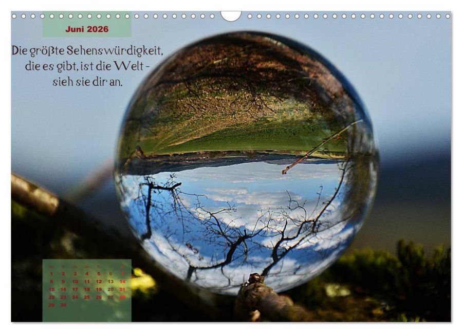 InsideView 11