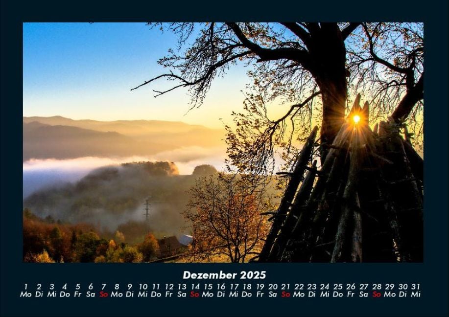InsideView 4