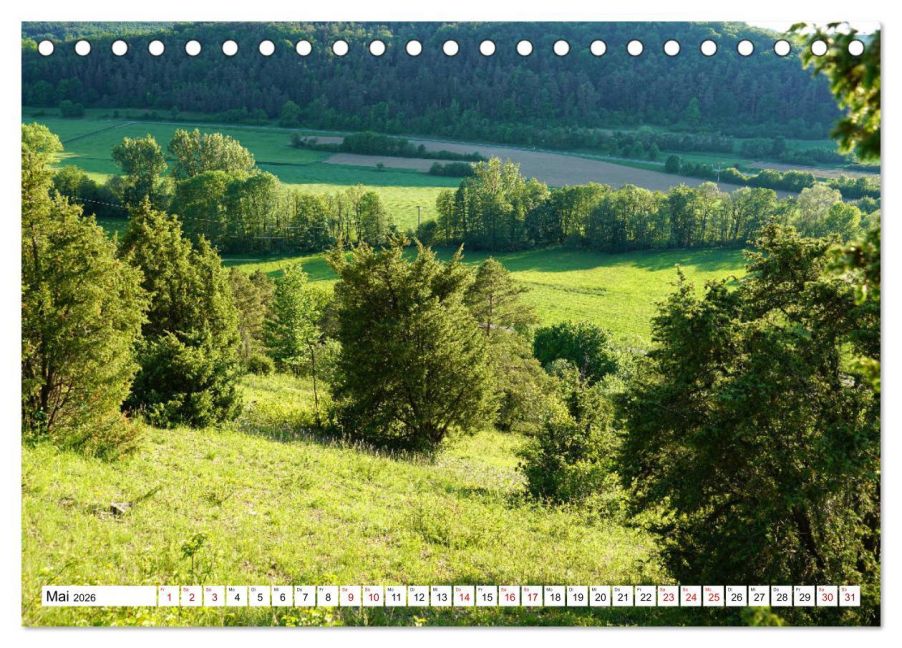 InsideView 10