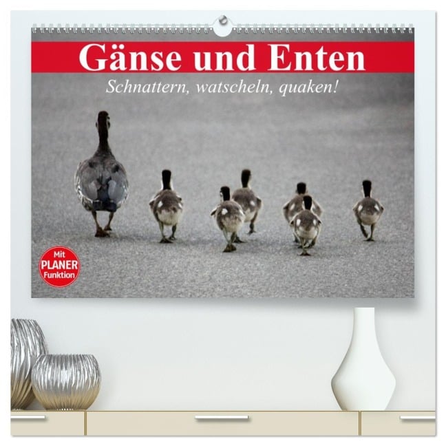 Gänse und Enten. Schnattern, watscheln, quaken! (hochwertiger Premium Wandkalender 2026 DIN A2 quer), Kunstdruck in Hochglanz - Elisabeth Stanzer